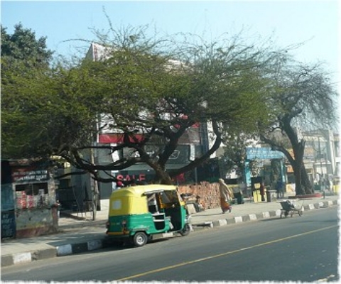 Images/delhi 004.jpg